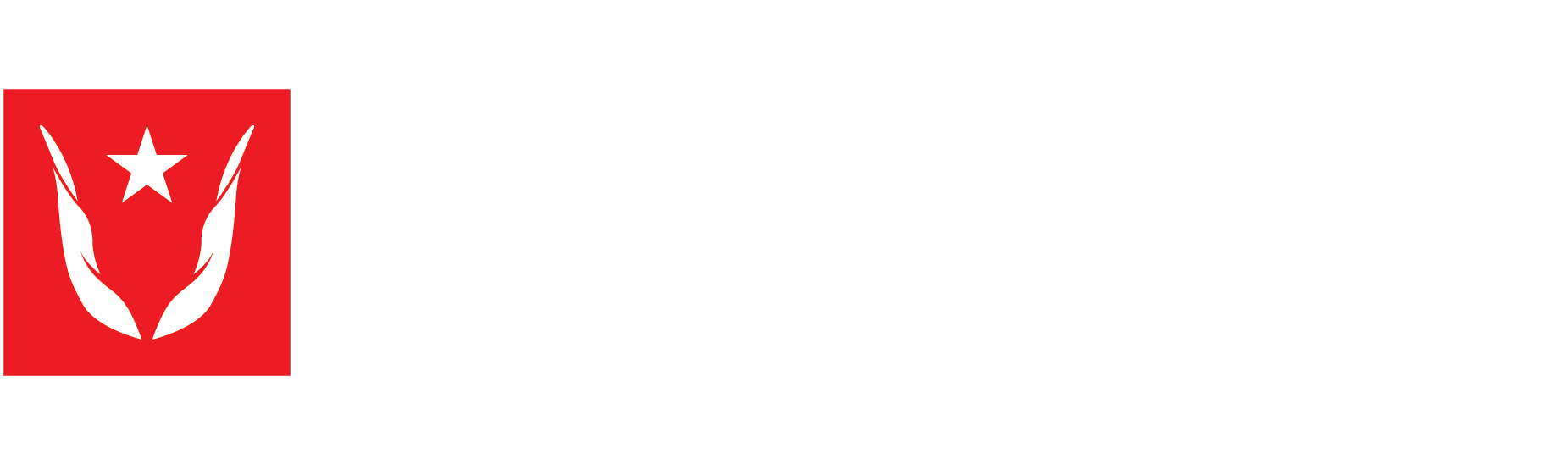 Ndumiso Voyi Inc Attorneys Logo